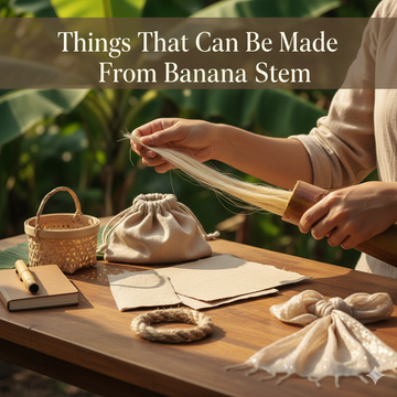 Things That Can Be Made from Banana Stem