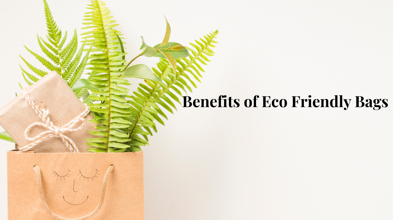 6 Benefits of Eco Friendly Bags