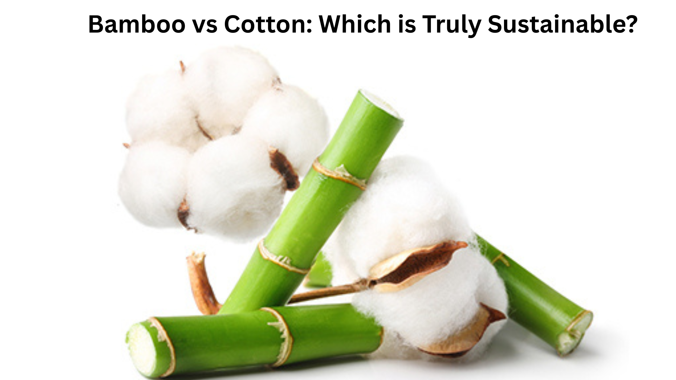 Bamboo vs Cotton: Which Fabric is Truly Sustainable?